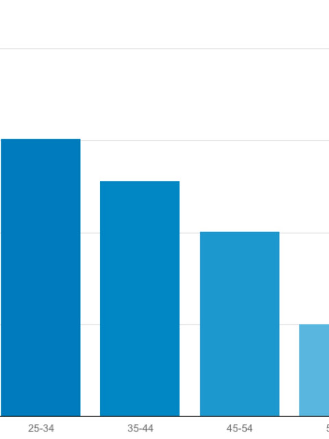 AgeDemographics