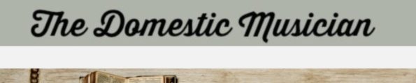 The Domestic Musician
